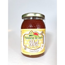 Mel Eucalipto